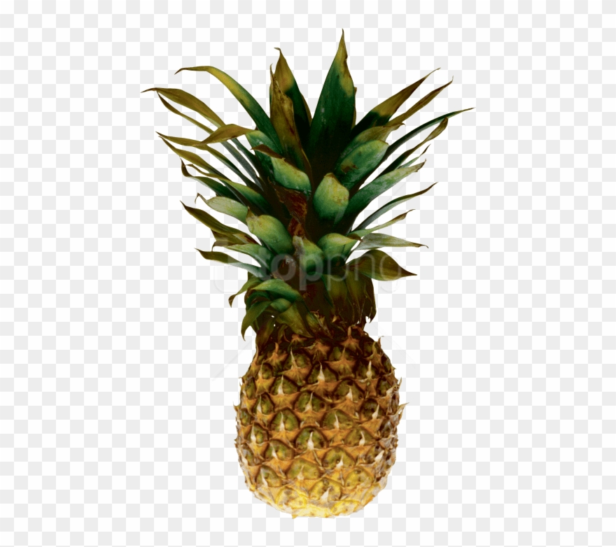 Free Png Download Pineapple Png Images Background Png - Pineapple Transparent Background Clipart
