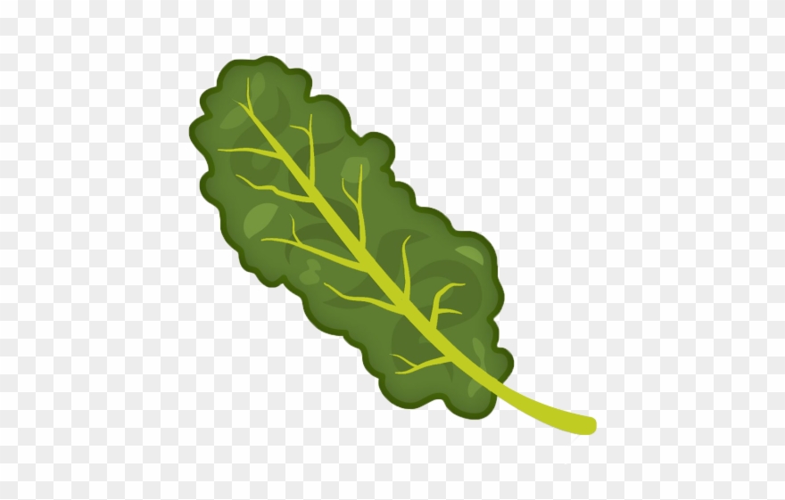 Kale Clipart Transparent - Transparent Background Kale Clipart - Png Download