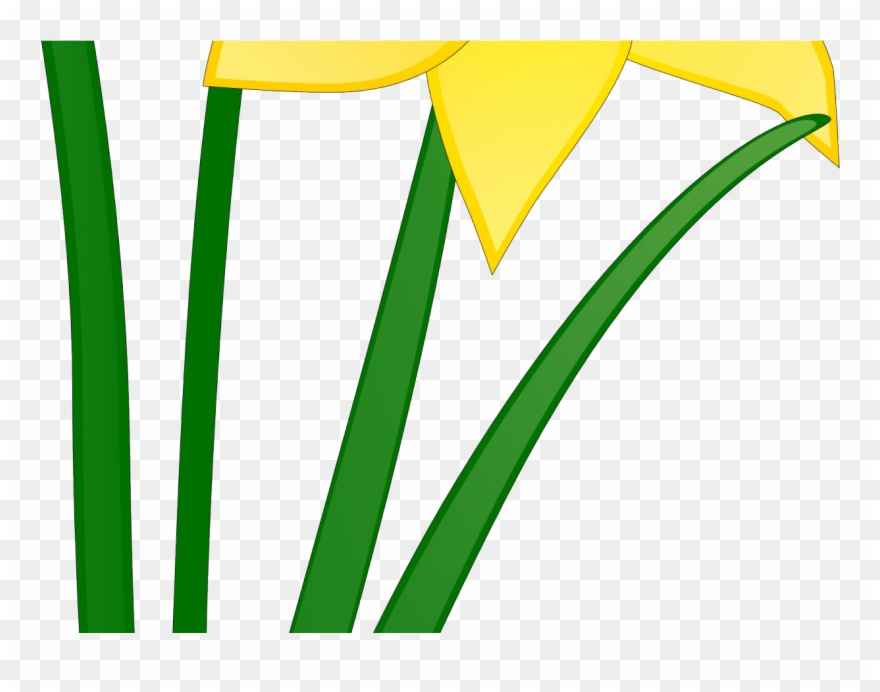 Daffodil Clip Art - Png Download