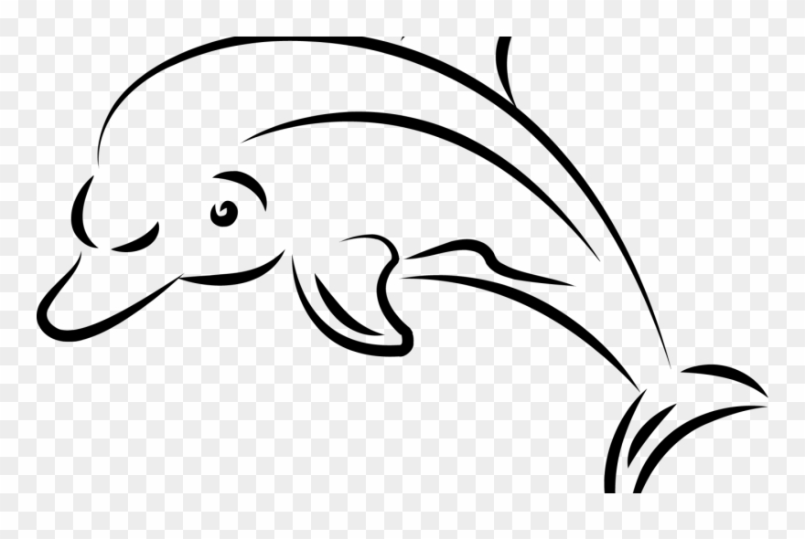 Dolphin Drawing Transparent Png Clipart