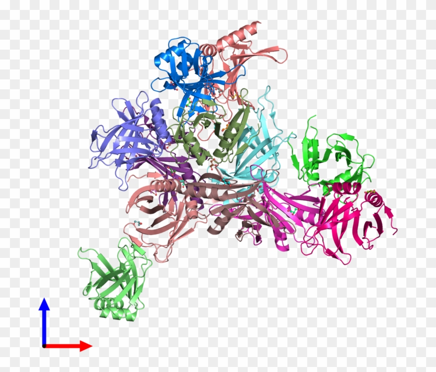 Pdb 3dtd Coloured By Chain And Viewed From The Front - Graphic Design Clipart