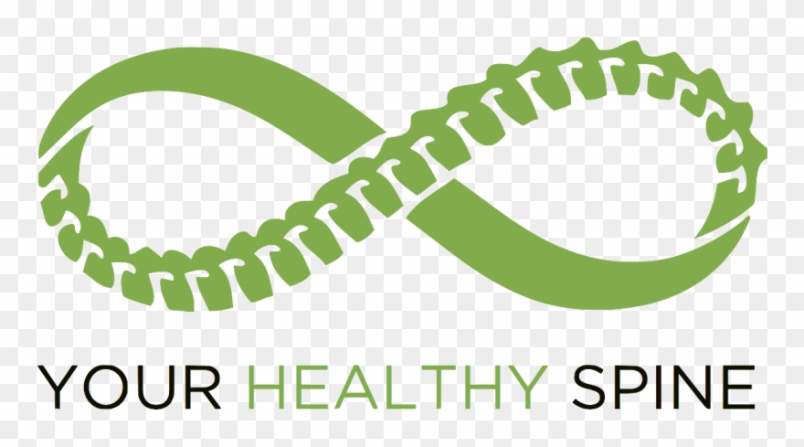 Clip Art Spine Png - Healthy Spine Transparent Png