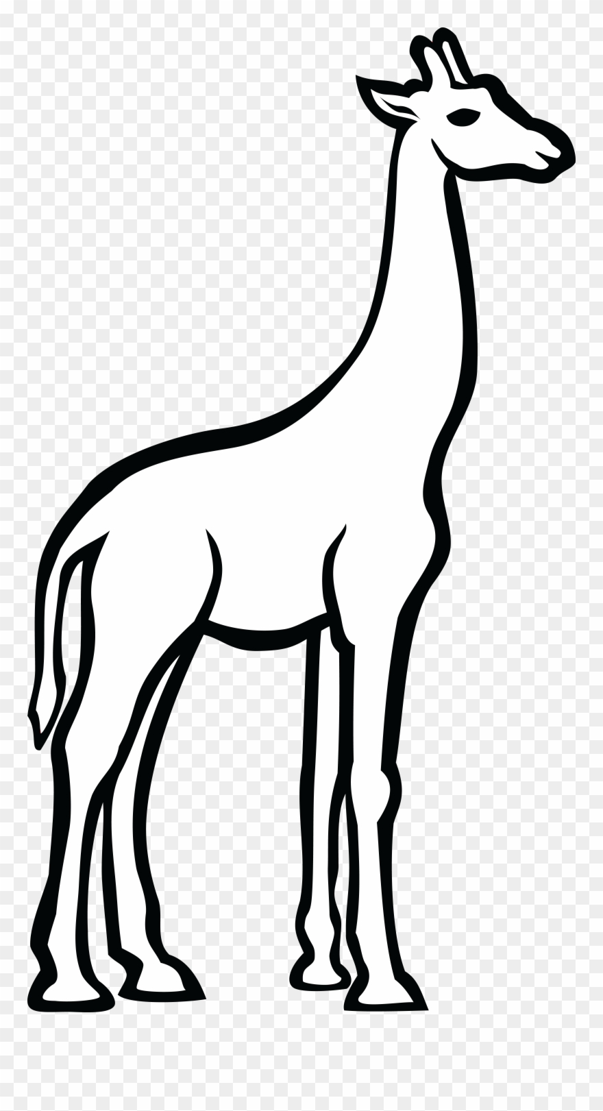 Free Clipart Of A Giraffe - Zürafa Çizimi - Png Download