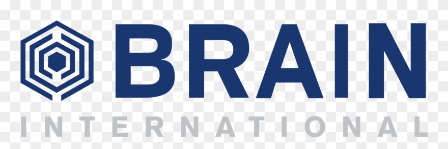 Clip Art Library Company Vector International - Brain Vector - Png Download