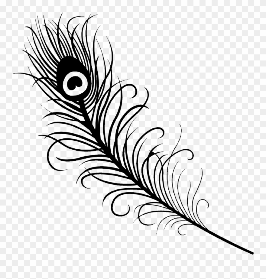 Successful Peacock Coloring Page - Easy Peacock Feather Drawing Clipart