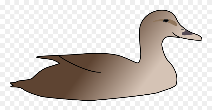 Duck Clipart Swimming - Swimming Duck Clip Art - Png Download