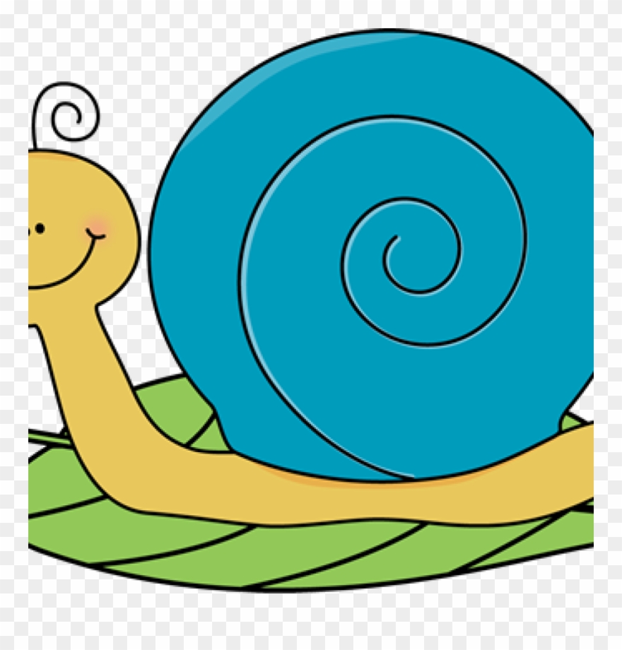 Snail Clipart Owl Clipart - Png Cartoon Snail Transparent Png