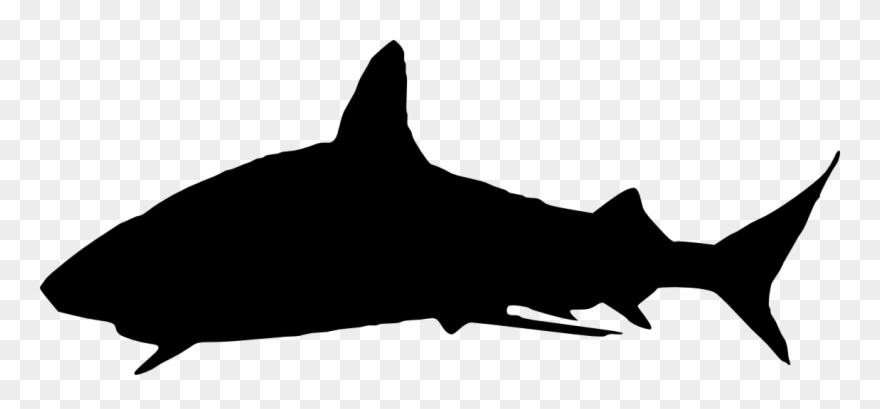 Silhouette Clip Art At Getdrawings Com Free - Shark Image Transparent Backgrounds - Png Download