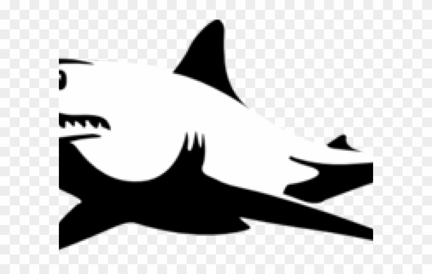 Great White Shark Clipart Public Domain - Shark Pumpkin Carving Stencil - Png Download