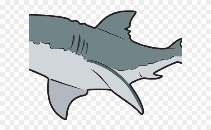 Great White Shark Clipart Reef Shark - Great White Shark Mugs - Png Download
