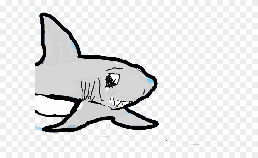 Banner Library Download Shark Clip Art - Library - Png Download