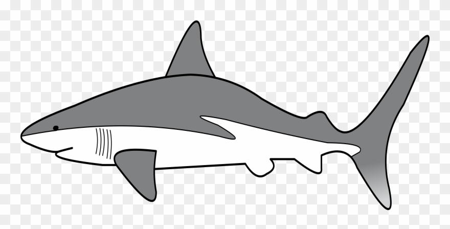 Big Image - Simple Shark Clipart - Png Download