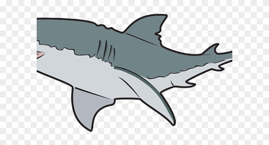 Great White Shark Clipart Angry - Great White Shark Mugs - Png Download