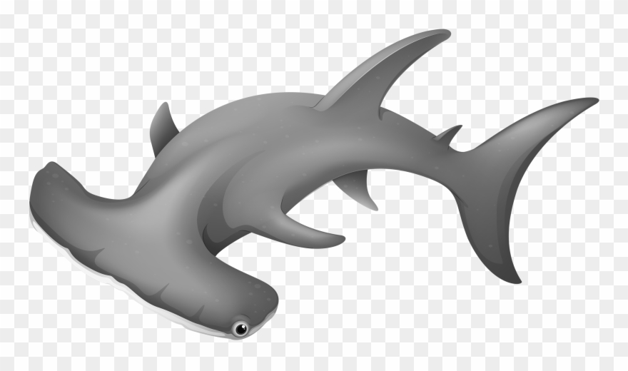 Hammerheadshark Png Clipart - Hammerhead Shark Transparent Background