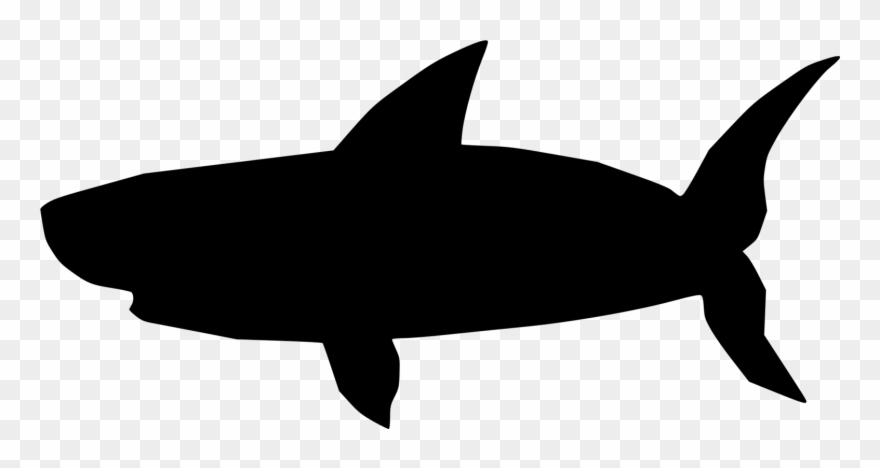 Great White Shark Bruce Hammerhead Shark Blue Shark - Shark Clipart