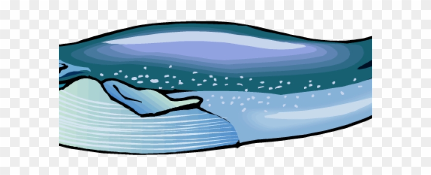 Bluewhale Clipart Png Transparent Png