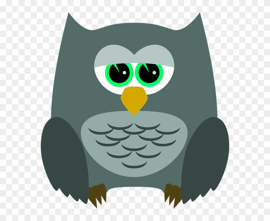 Aves & Passáros & Corujas Etc - รูป การ์ตูน นก ฮูก น่า รัก Clipart