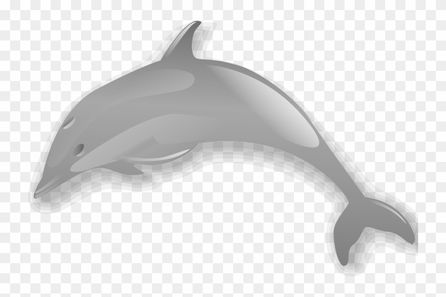 Dolphin Enrique Meza C 02 Clip Art Download - Dolphin .png Transparent Png