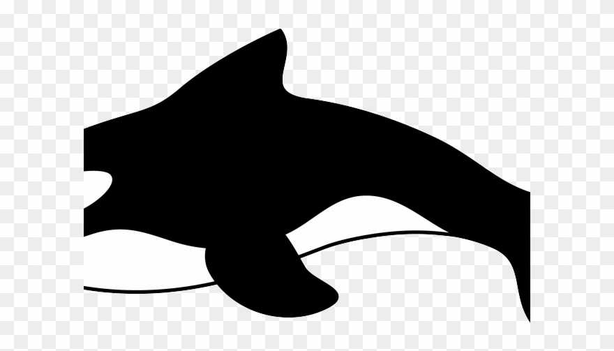 Bottlenose Dolphin Clipart Cartoon - Orca Killer Whales Cartoon - Png Download