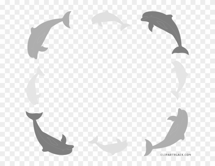 Clipart Resolution 700*616 - Dolphin Clipart Png Transparent Png