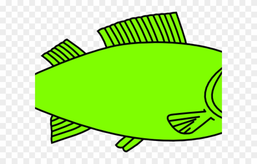 Big Fish Outline Clipart