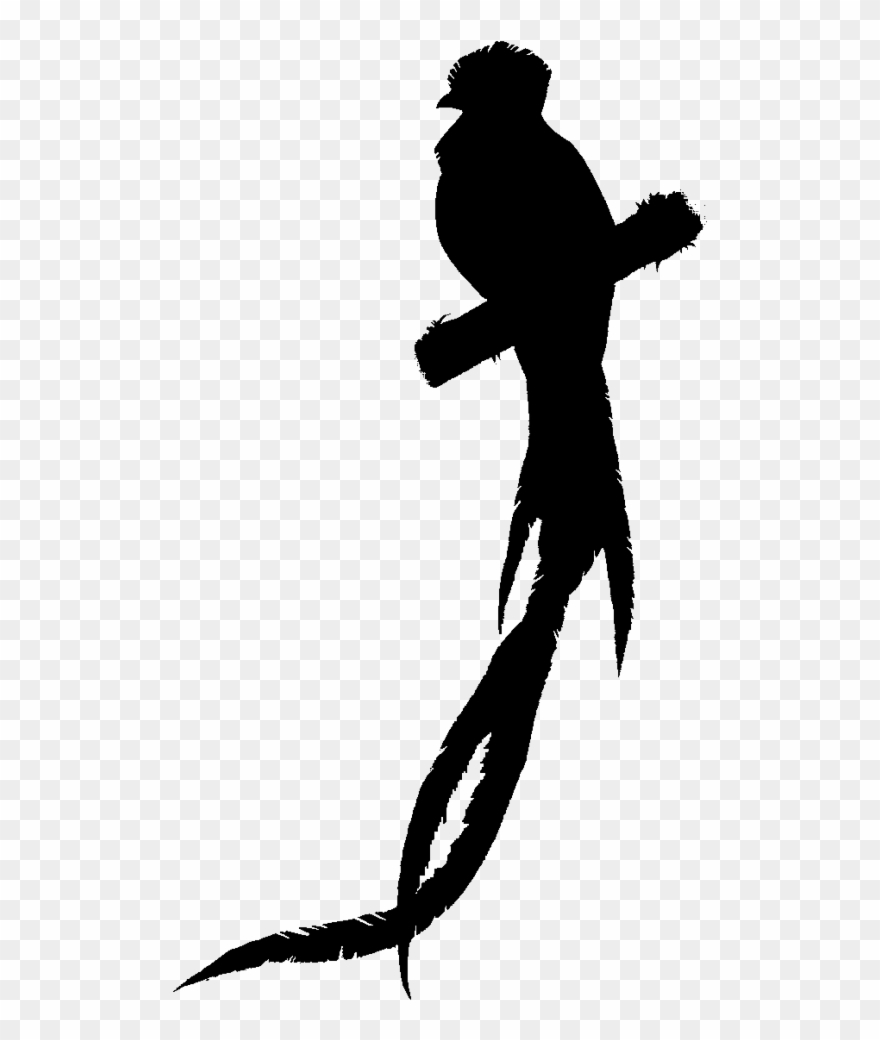 Make A Silhouette - Clip Art - Png Download