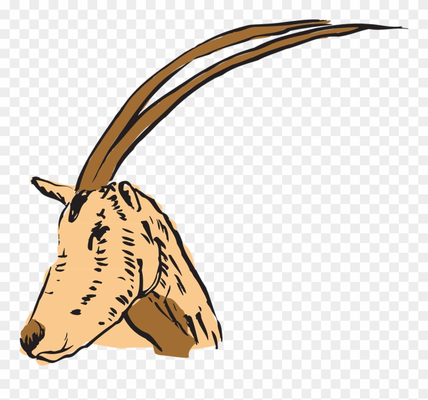 Cuernos En Antilope Clipart