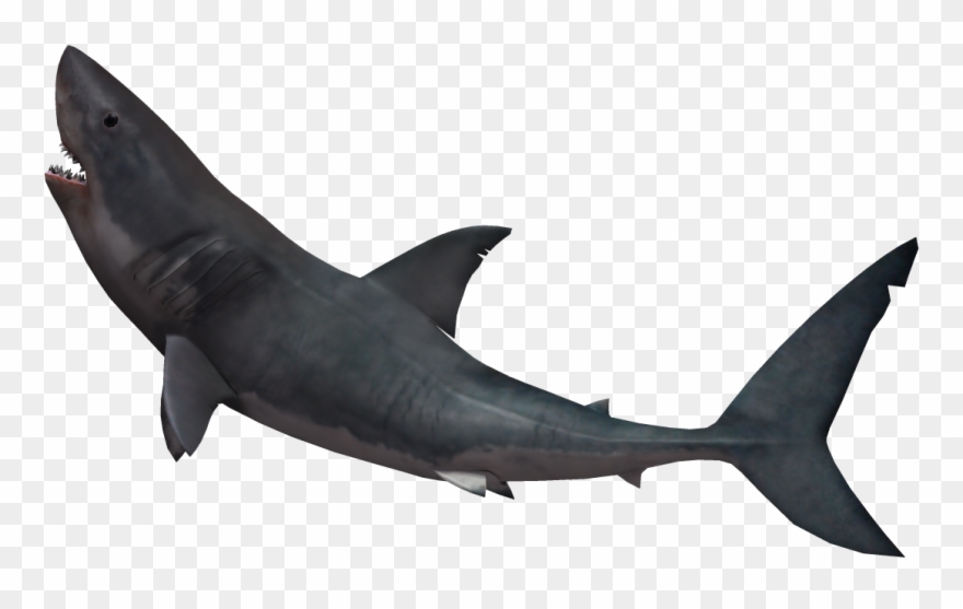 Shark Fin Soup Great White Shark Clip Art - Great White Shark Jumping Png Transparent Png
