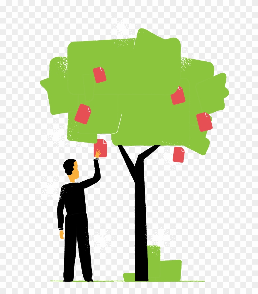 Low Hanging Fruit - Low Hanging Fruit Transparent Clipart