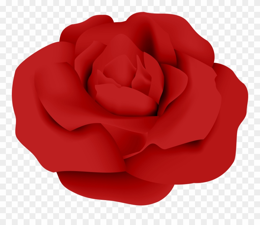 Rose Clipart Images - Png Download