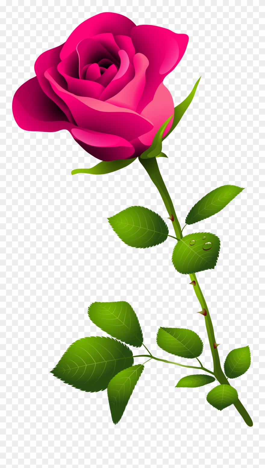 Pink Rose With Stem Clipart
