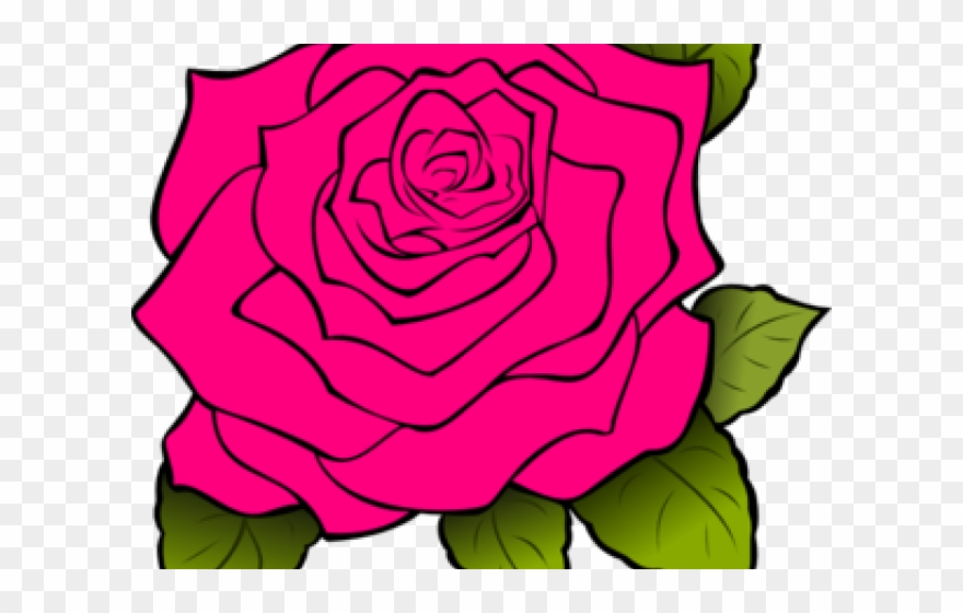 Clipart White Rose Transparent Background - Png Download