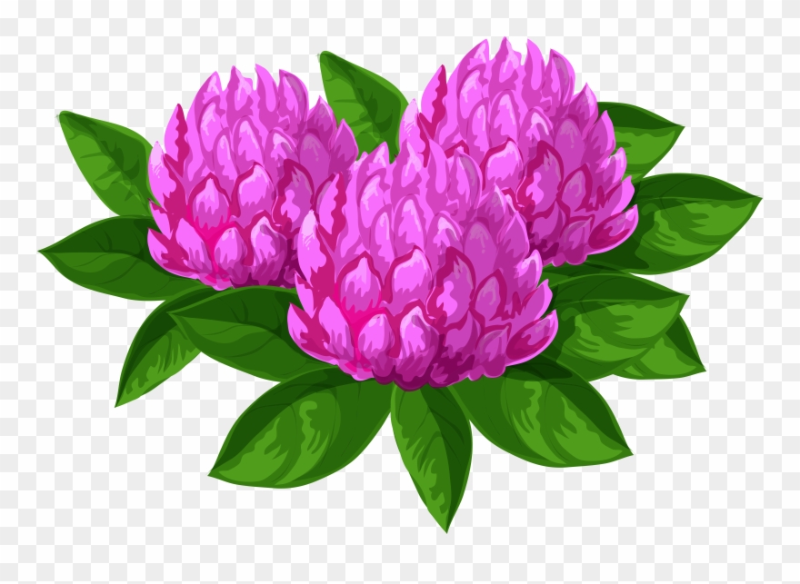 Wild Flowers Png Clip Art Imageu200b Gallery Yopriceville - Common Peony Transparent Png