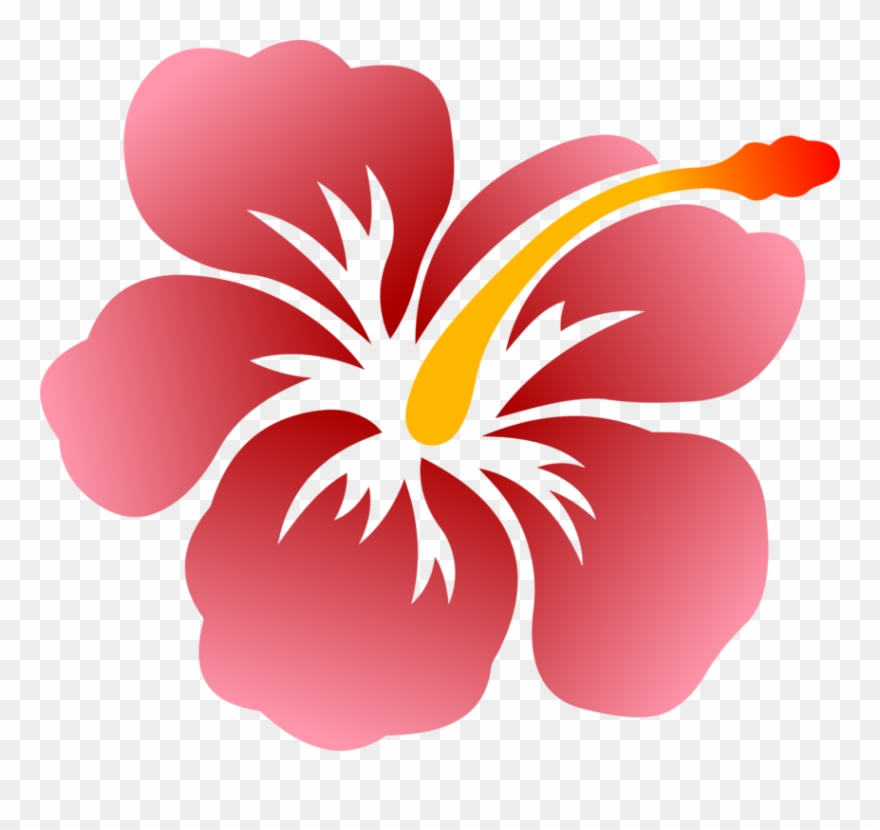 Flower Shoeblackplant Hawaiian Hibiscus Drawing Swamp - Clipart Rose Mallow Drawing - Png Download