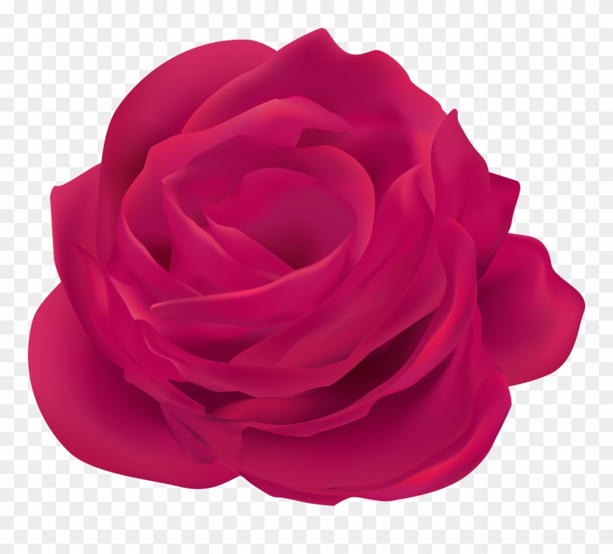 Pink Rose Clip Art - Png Download