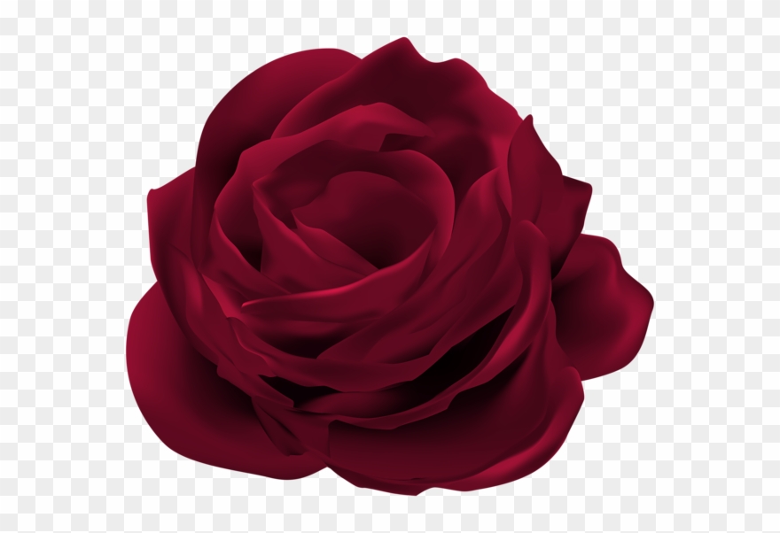 Dark Red Rose Flower Png Clip Art Image - Bunga Mawar Merah Png Transparent Png