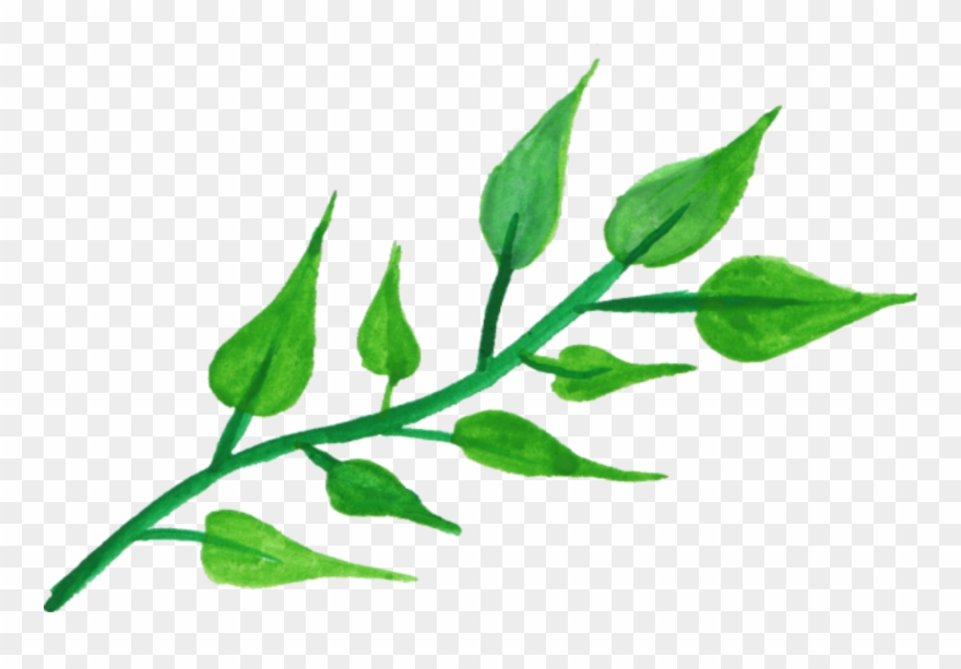 Report Abuse - Watercolor Leaves Png Transparent Clipart
