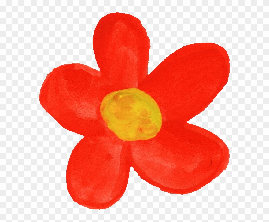 Free Download - Dicotyledon Clipart