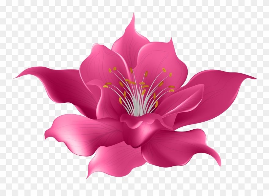 Drawing Violet Clip Art Painting Transprent Png - Magnolia Flower Transparent Png