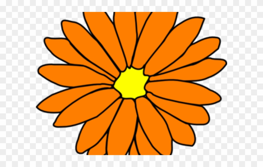 Yellow Flower Clipart Orange - Single Flower Coloring Flower - Png Download