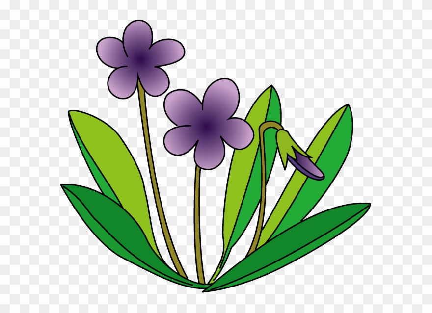 Violet Flower Clip Art - 春の 花 イラスト - Png Download