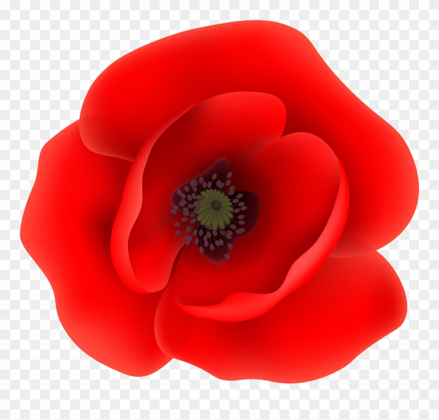 Flower Wreath Clipart - Png Download