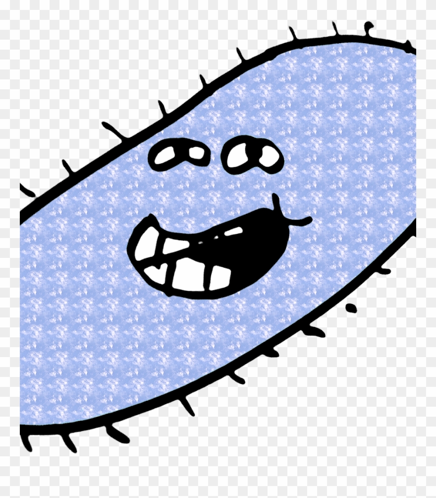 Kb, 918x1006, Bactlelria ) Clipart