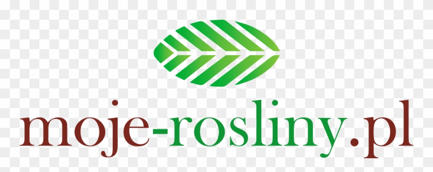 Moje Rośliny - Love Zayn Clipart