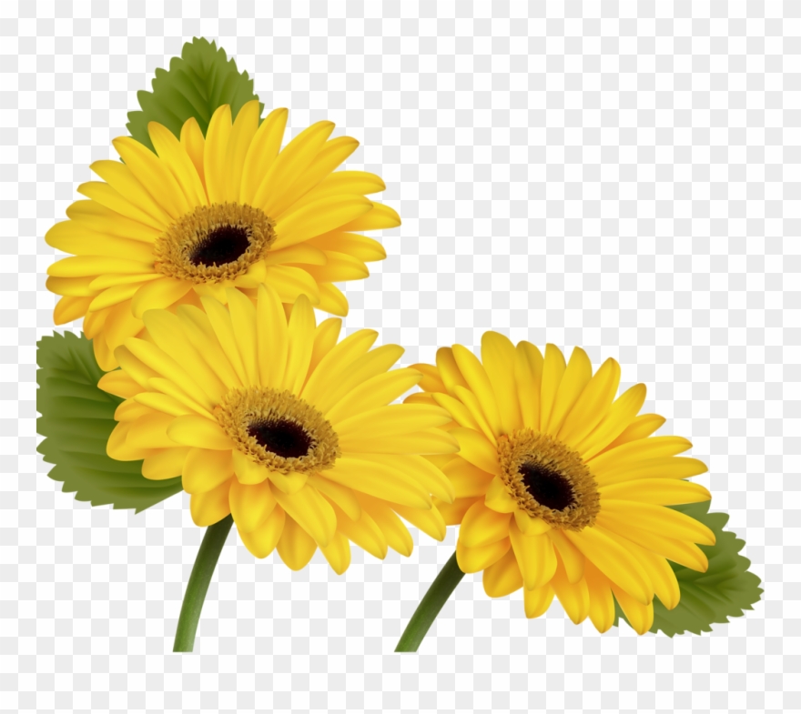 Фото, Автор Soloveika На Яндекс - Butterfly And Flower Transparent Clipart