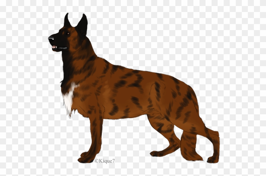 German Shepherd Puppies, Moose Art - Great Dane Clipart