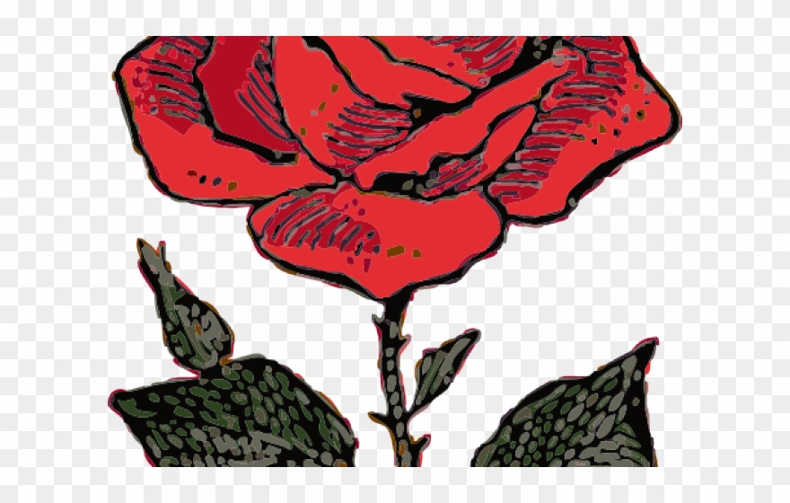 Pink Rose Clipart Mawar - Rose Cartoon - Png Download