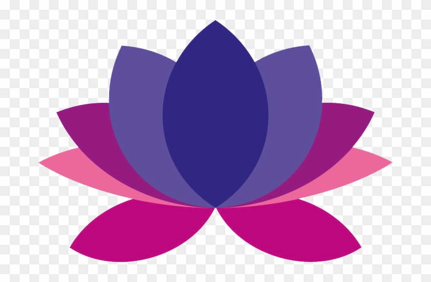 Yoga Transparent Lotus Flower - Tulipa Humilis Clipart