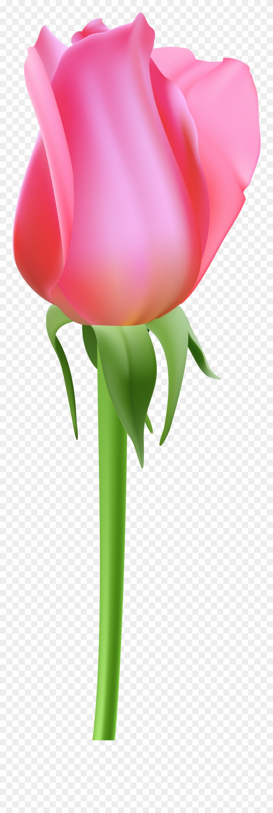 Pink Bud Clipart - Png Download