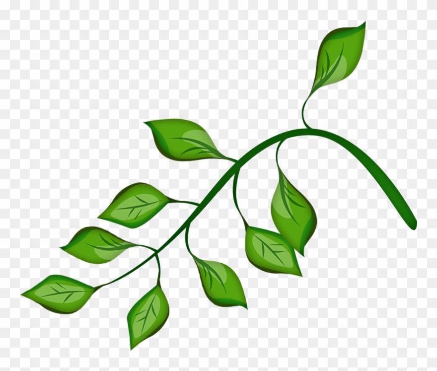 Фото, Автор Cutepictures На Яндекс - Flower Clipart